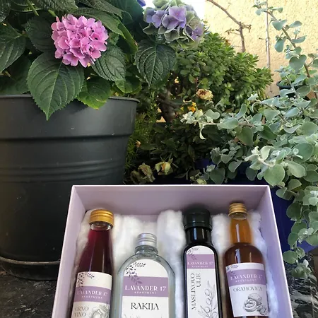 Апартаменти Lavender Cozy & Lovely 17 *