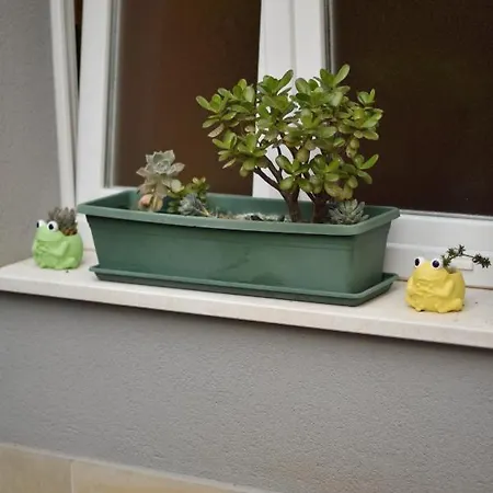 Lavender Cozy & Lovely 17 شقة *