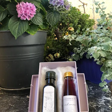 Lavender Cozy & Lovely 17 شقة